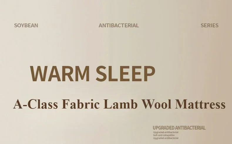 Thicken Winter Warm Lamb Cashmere Mattress High Quality Household Soft Pad Tatami Floor Mat Student Dormitory Single Mattresses NEWFURNITURELOOKS