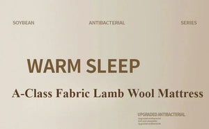 Thicken Winter Warm Lamb Cashmere Mattress High Quality Household Soft Pad Tatami Floor Mat Student Dormitory Single Mattresses NEWFURNITURELOOKS