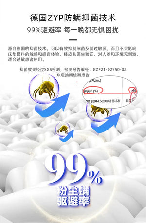 Hotel Mattress Bed And Breakfast Apartment Independent Spring Latex Soft And Hard 1.8m Manufacturers Wholesale NEWFURNITURELOOKS